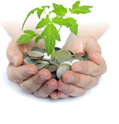 Dłonie trzymające roślinę – symbol odpowiedzialności za środowisko